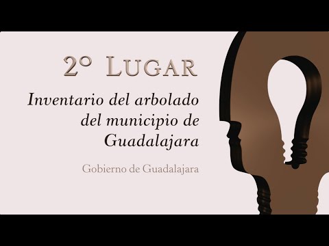 Gobierno de Guadalajara, 2º lugar, Las Más Innovadoras 2018 (Sector Público)
