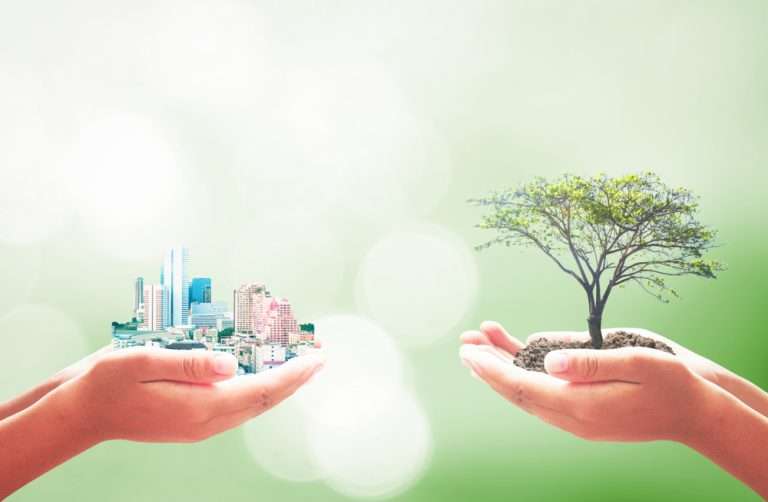 Decelera ayuda a startups a replantear su estrategia y partir de nuevo