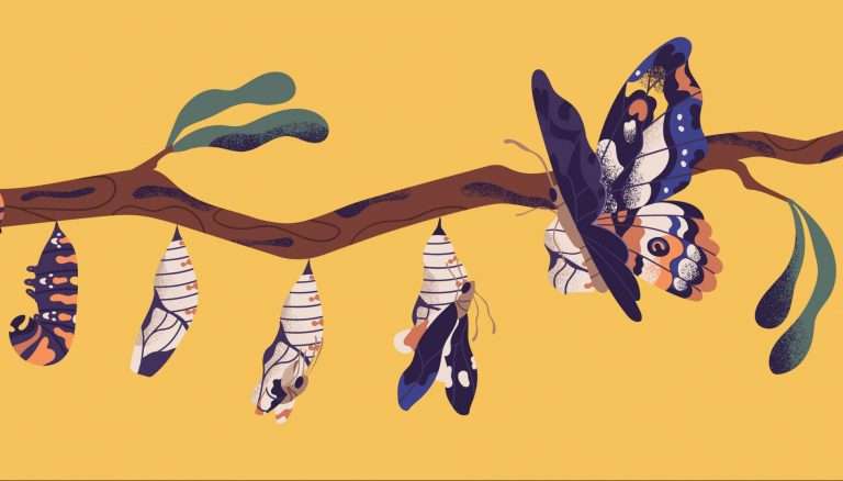 Un año de pandemia: las transformaciones que quedarán para siempre