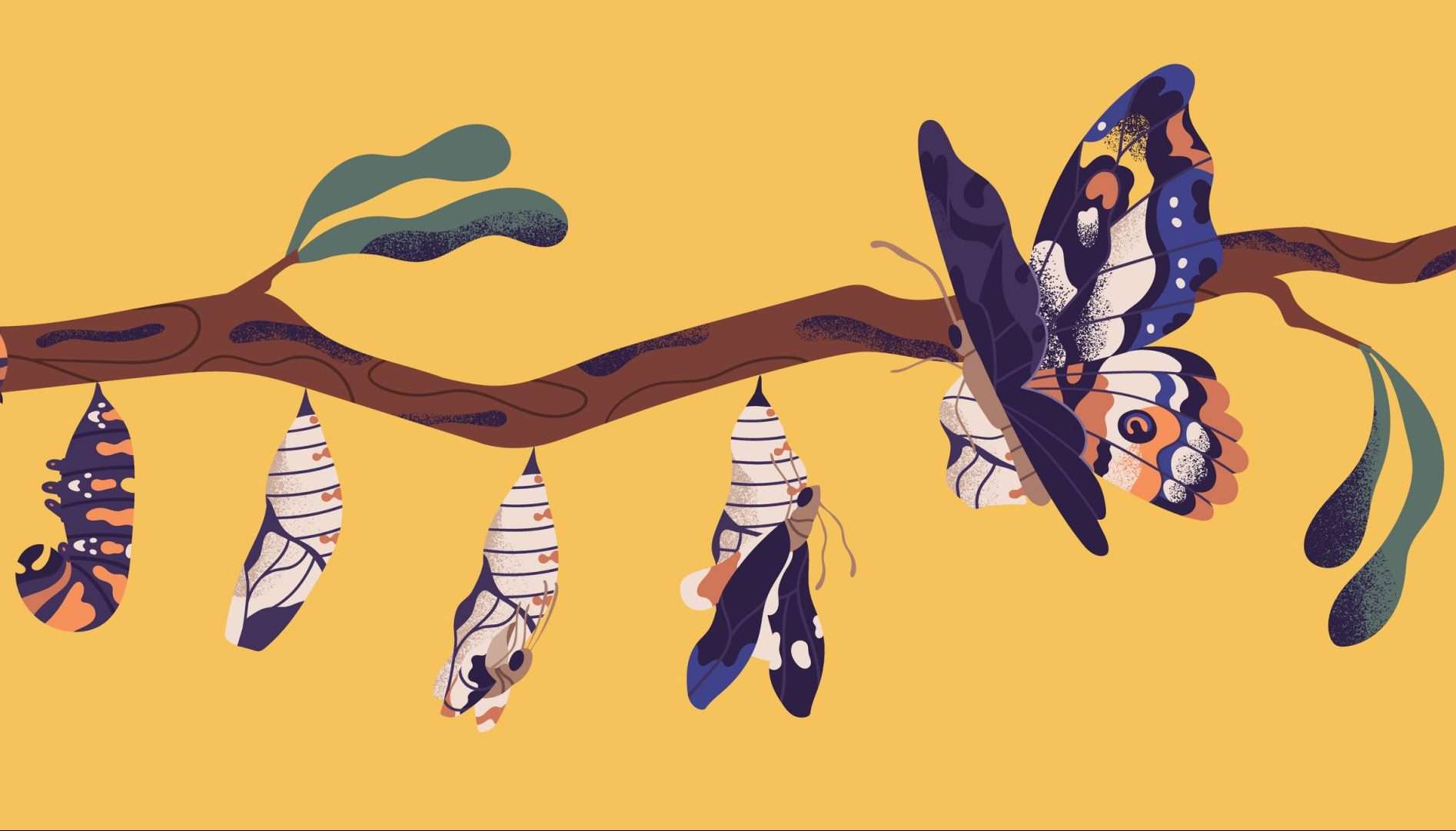 Un año de pandemia: las transformaciones que quedarán para siempre