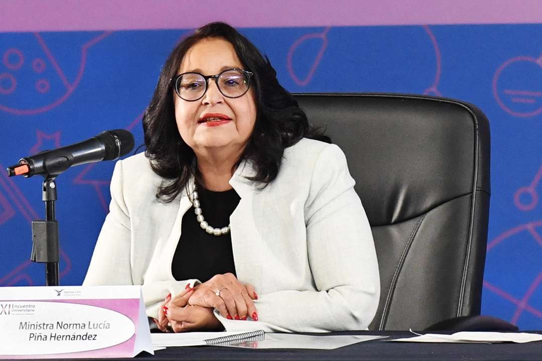 Proyecto de ministra de la SCJN propone declarar inconstitucional el Panaut