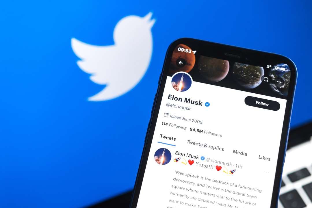 Perfil de Elon Musk en Twitter