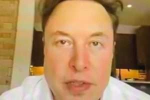 Musk habla con empleados de Twitter por primera vez:  “Esencial, la libertad de expresión”, dice